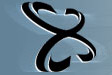 Video IBPster 2002 Logo