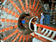 Net Exp Logo