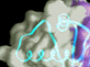 WISTAR Logo
